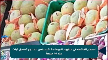 أسعار الفاكهة في مطروح الأربعاء 6 أغسطس المانجو تسجل ثبات عند 40 جنيهاً